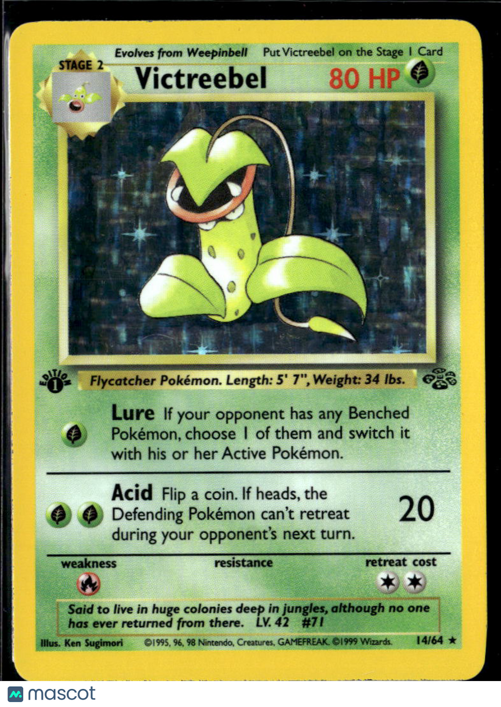 Victreebel 1999 Jungle Holo Rare 1st Edition #14/64