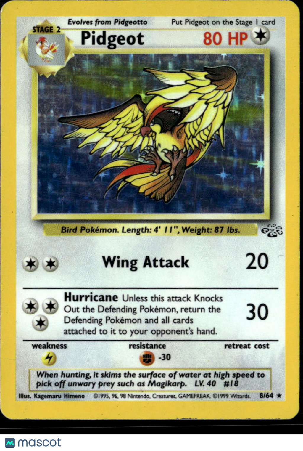 Pidgeot 1999 Jungle Holo Rare #8/64