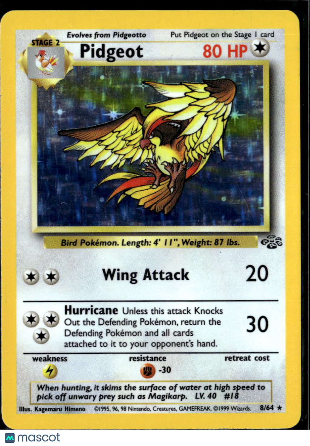 Pidgeot 1999 Jungle Holo Rare #8/64