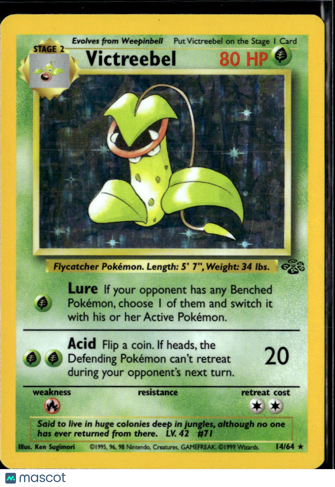 Victreebel 1999 Jungle Holo Rare #14/64