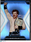 Sheamus 2010 Topps WWE Platinum Performance #PP-12