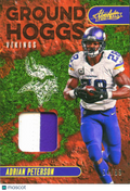 Adrian Peterson 2023 Absolute 2 Color Jersey Patch 54/99 Minnesota Vikings