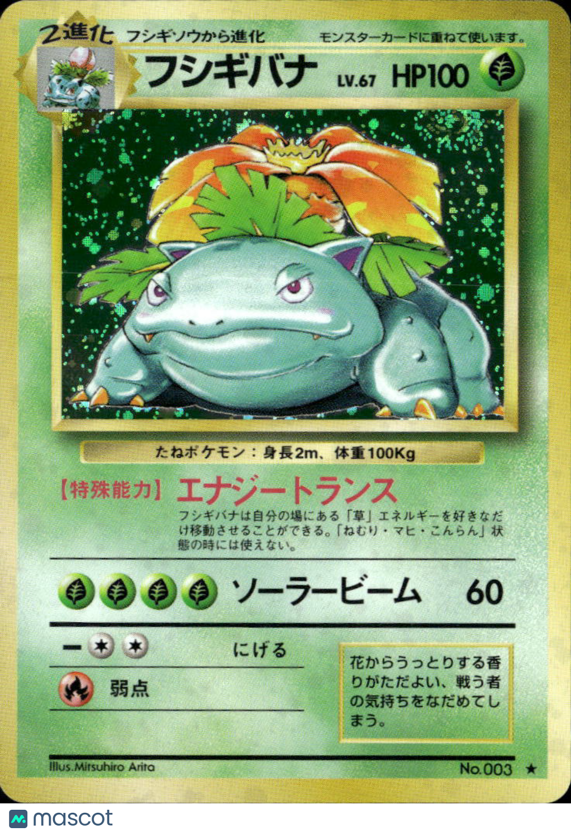 Venusaur 1996 Base Set Holo Rare Japanese #No.003