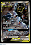 Garchomp & Giratina GX 2019 Unified Minds Holo Black Star Promo #SM193