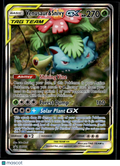 Venusaur & Snivy GX 2019 Cosmic Eclipse Holo Black Star Promo #SM229