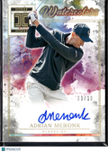 Adrian Meronk 2025 Impeccable Watercolors Auto Autograph 3/10 Cleeks GC