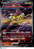 Raikou V 2022 VSTAR Universe Holo Secret Rare Japanese SAR #218/172