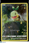 Turtwig 2023 Crown Zenith Holo Rare #GG31/GG70
