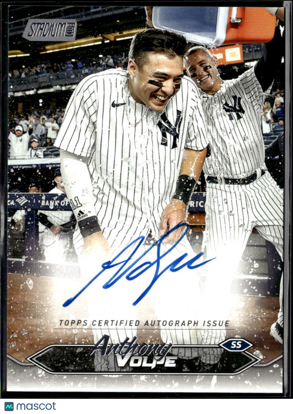 Anthony Volpe 2024 Topps Stadium Club Auto Autograph New York Yankees