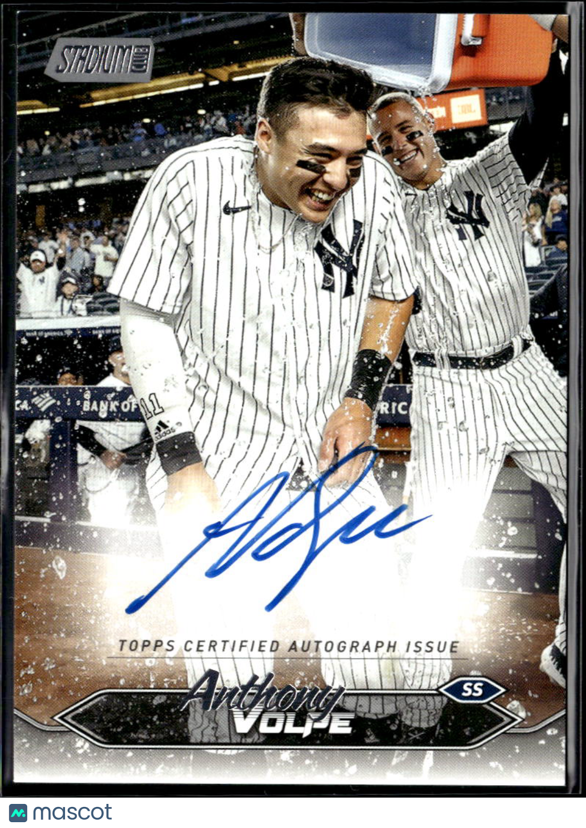 Anthony Volpe 2024 Topps Stadium Club Auto Autograph New York Yankees