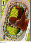 Gramma Tala 2025 Topps Chrome Disney Yellow Mini Diamond #16