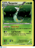 Serperior 2011 Black & White Holo Rare #6/114