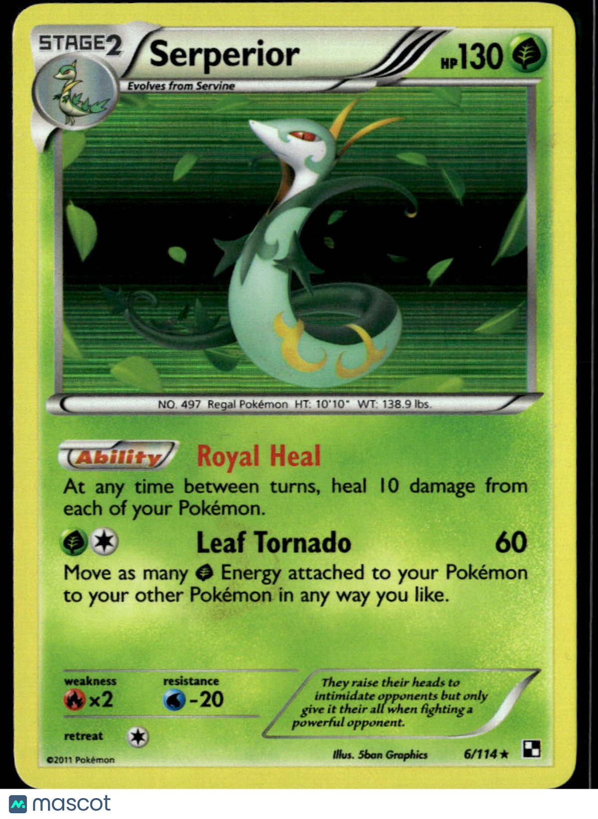 Serperior 2011 Black & White Holo Rare #6/114