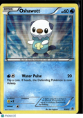 Oshawott 2011 Black & White Holo Black Star Promo #BW03