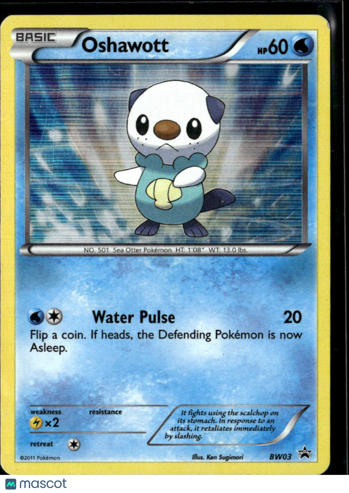 Oshawott 2011 Black & White Holo Black Star Promo #BW03