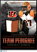 Geno Atkins 2017 Majestic Game Worn Jersey Patch 11/25 Cincinnati Bengals