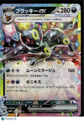 Umbreon EX 2024 Terastal Fest ex Holo Double Rare Japanese RR #093/187 RR
