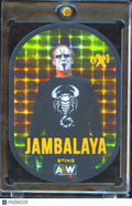 Sting 2022 SkyBox Metal Universe AEW Jambalaya SSP CASE HIT Wrestling