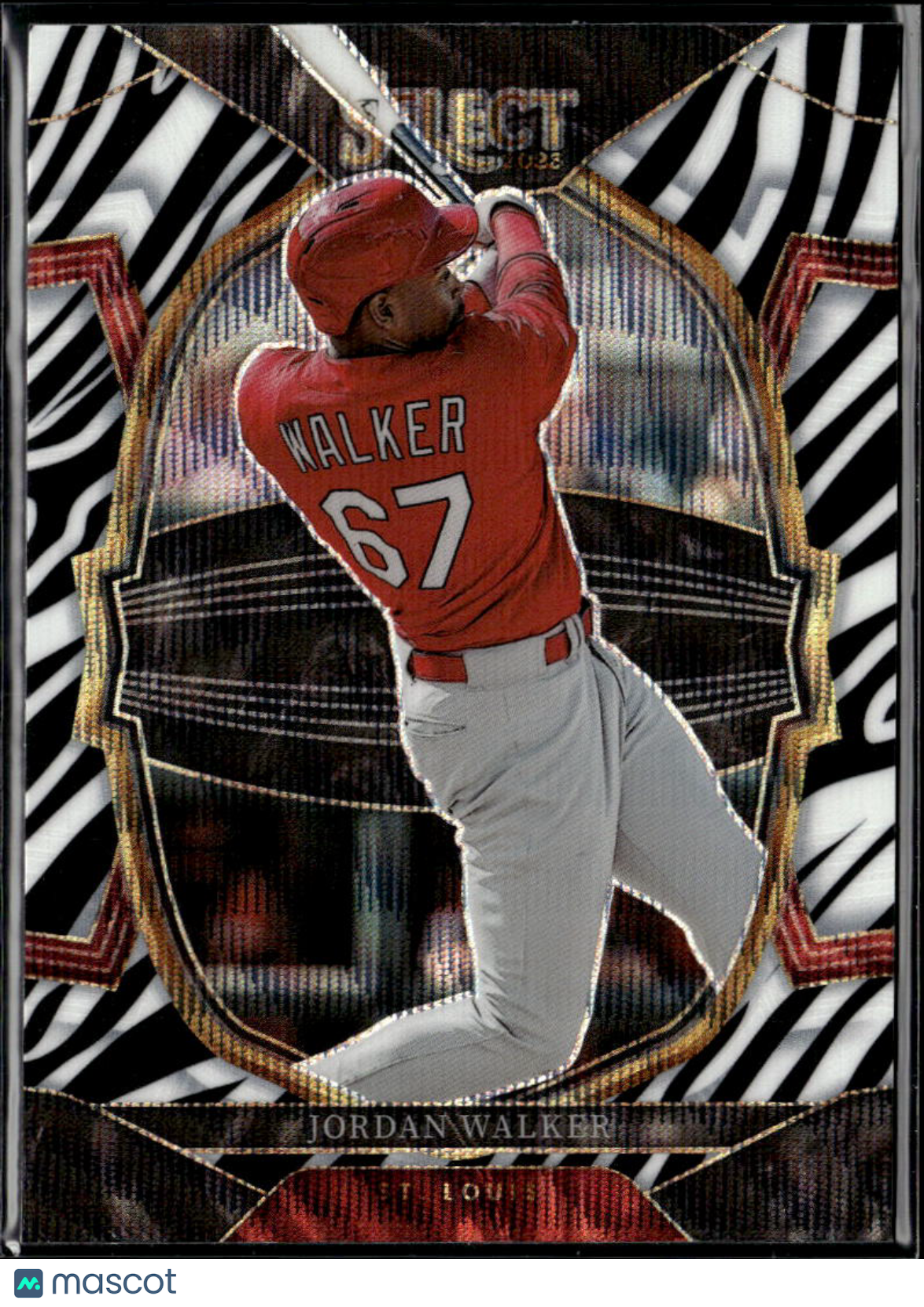 Jordan Walker 2023 Select Concourse Zebra Prizm SSP St. Louis Cardinals