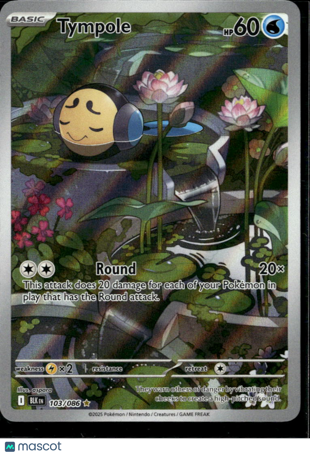 Tympole 2025 Black Bolt Holo Secret Rare #103/86
