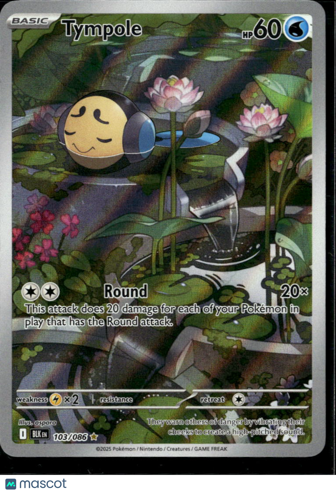Tympole 2025 Black Bolt Holo Secret Rare #103/86