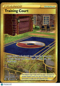 Training Court 2022 Fusion Strike Gold Secret Rare SR #282/264