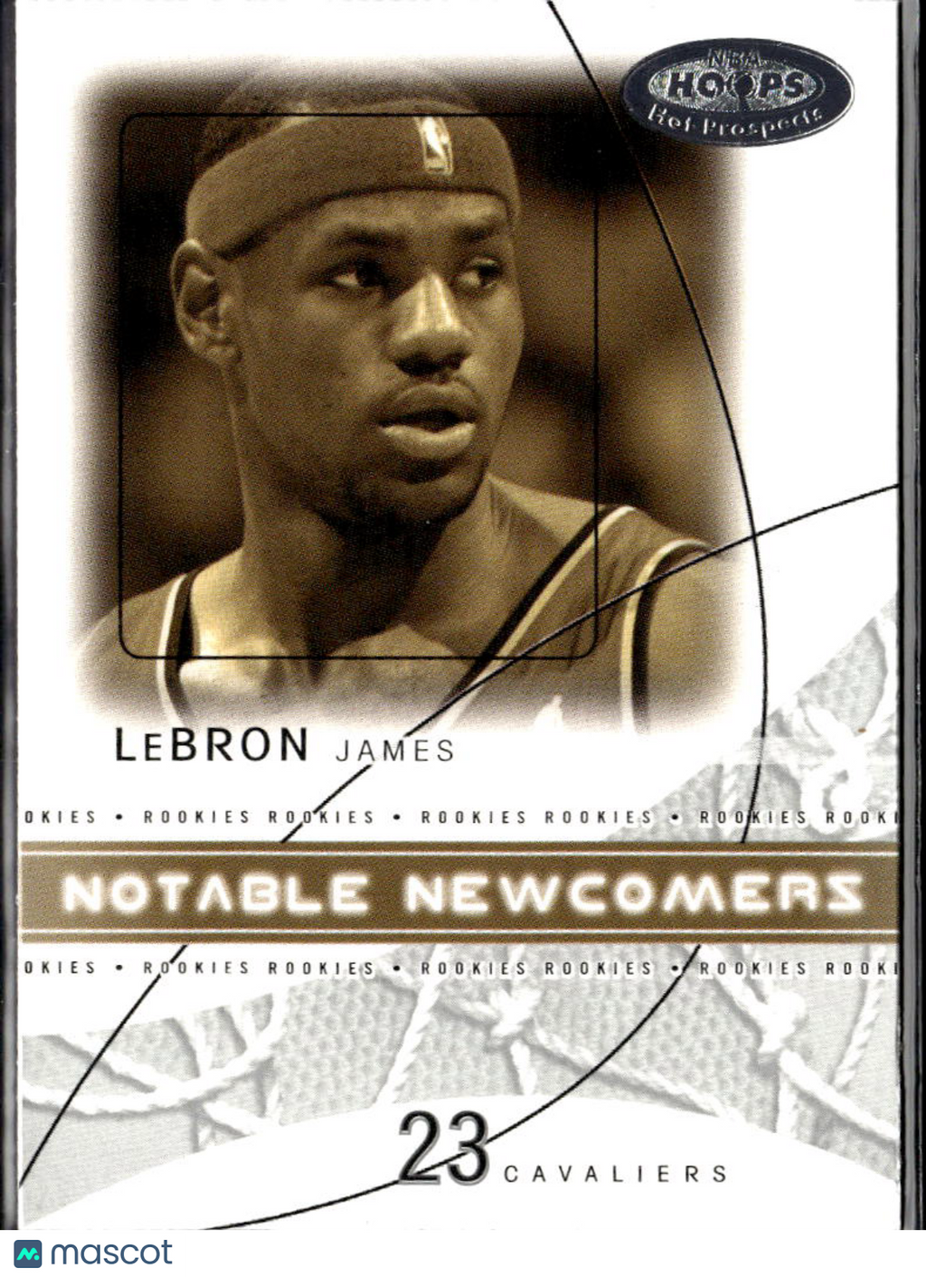 LeBron James 2004-05 Hoops Hot Prospects #13NN Cleveland Cavaliers