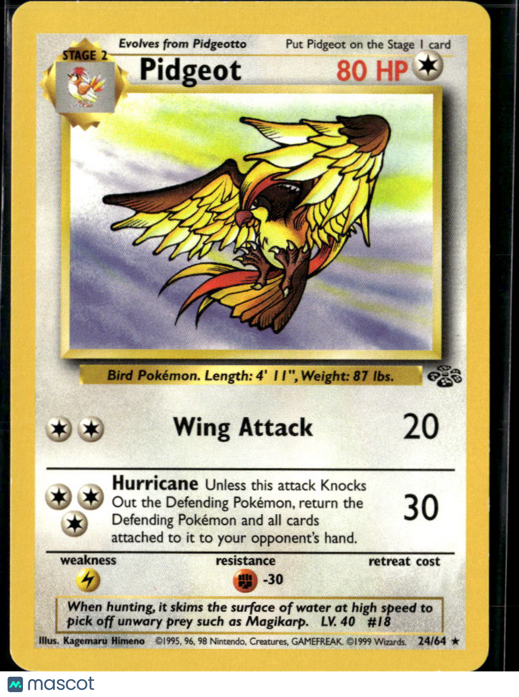 Pidgeot 1999 Jungle Rare #24/64