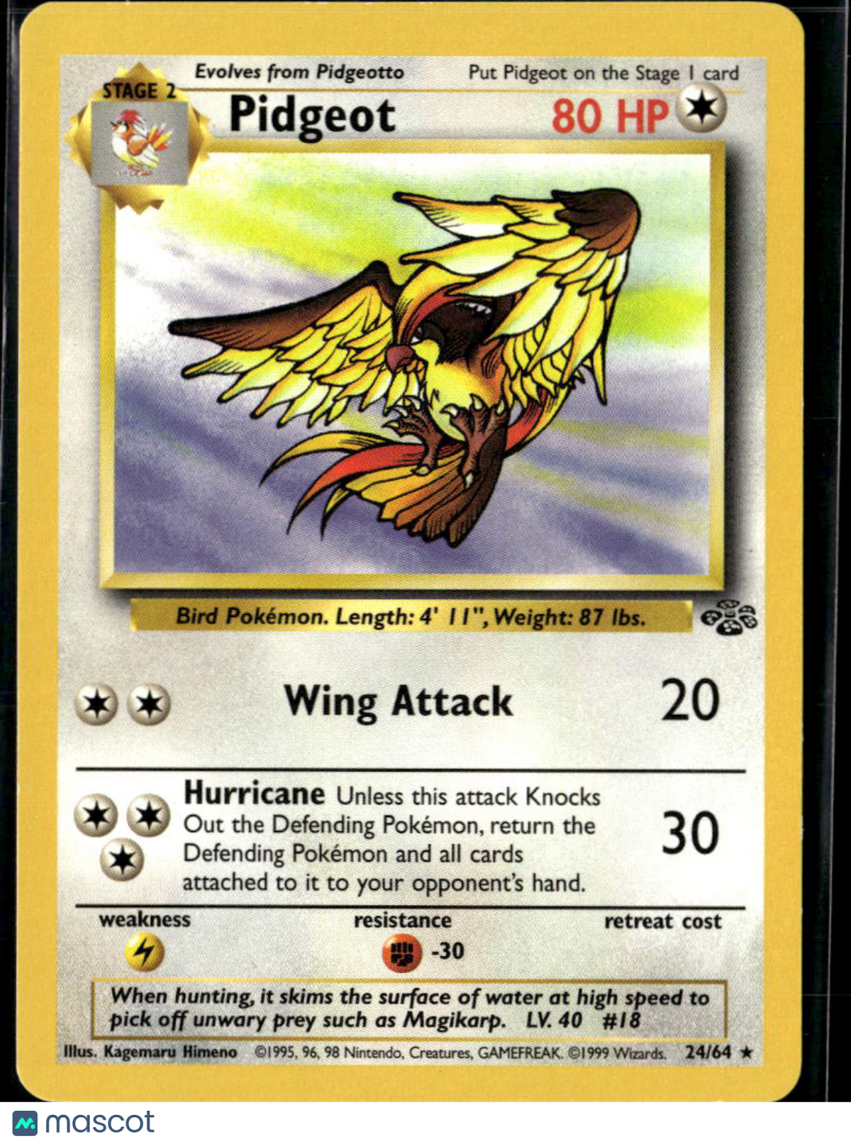 Pidgeot 1999 Jungle Rare #24/64