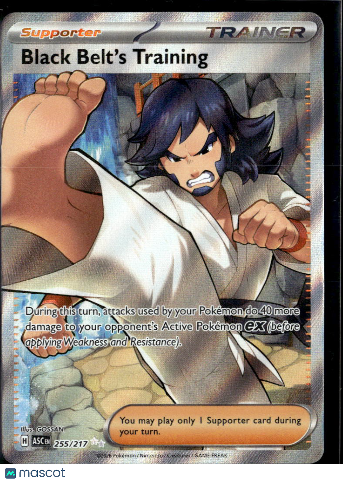 Black Belt's Training 2026  Ascended Heroes Holo Secret Rare UR FA #255/217