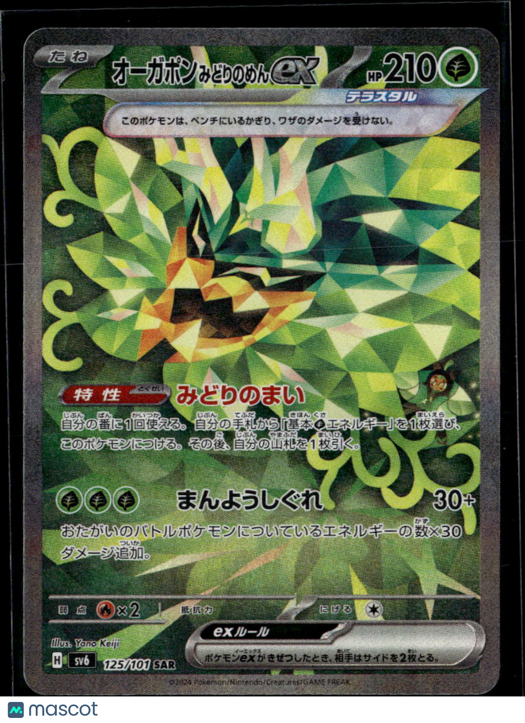 Teal Mask Ogerpon EX 2024 Twilight Masquerade Holo  Japanese SAR #125/101 SAR