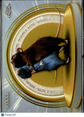 Remy and Emile 2025 Topps Chrome Disney Golden Moments #DA-6