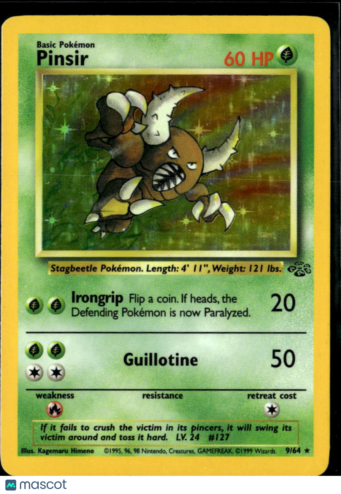 Pinsir 1999 Jungle Holo Rare #9/64