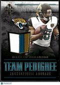 Denard Robinson 2017 Majestic Game Worn Jersey Patch 29/49 Jacksonville Jaguars
