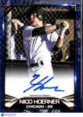 Nico Hoerner 2019 Blowout Cards Auto Autograph Chicago Cubs