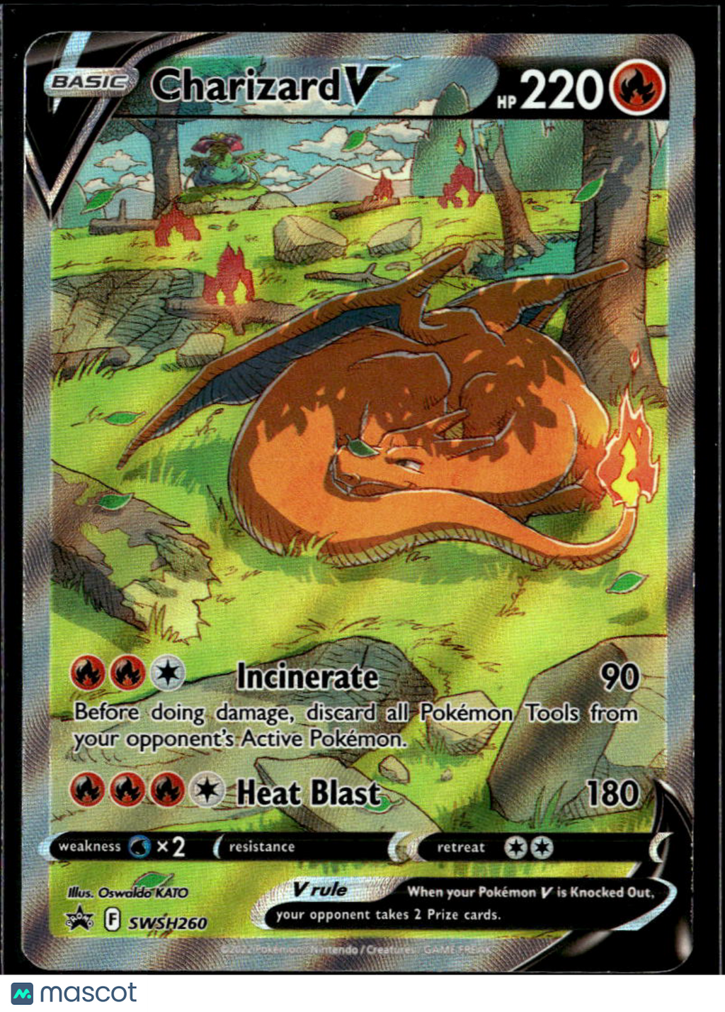 Charizard V SWSH Holo Black Star Promo FA #SWSH260