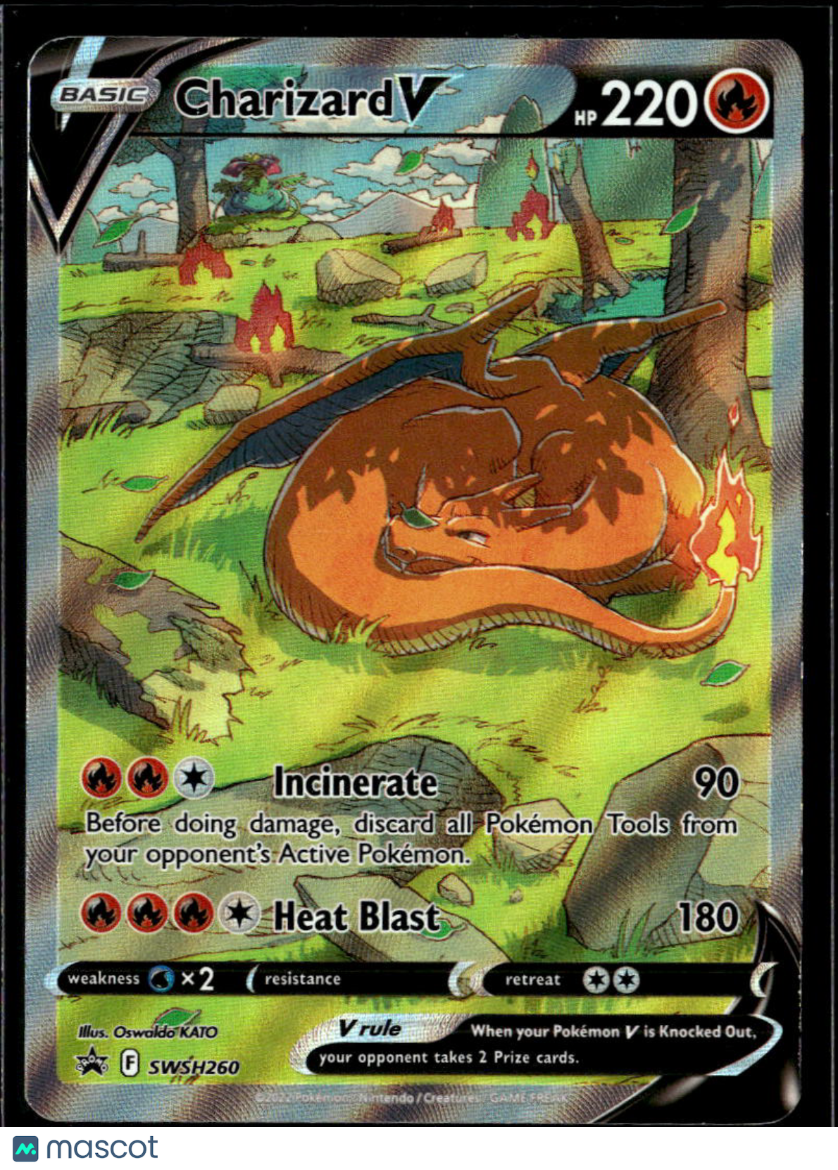 Charizard V SWSH Holo Black Star Promo FA #SWSH260