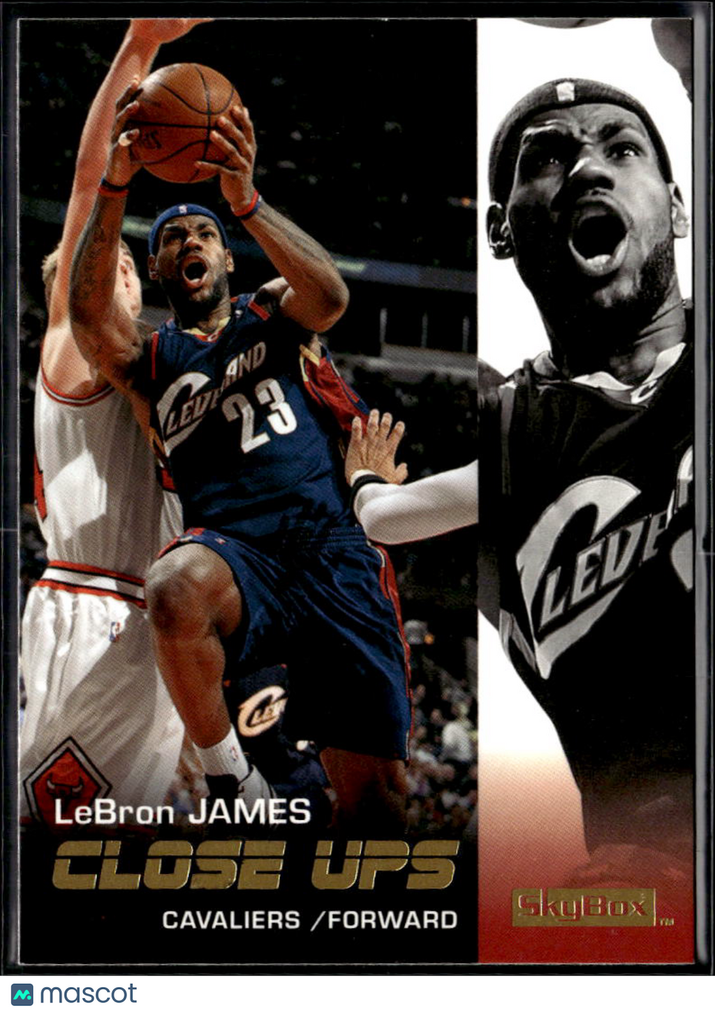 LeBron James 2008-09 SkyBox Close Ups #177 Cleveland Cavaliers