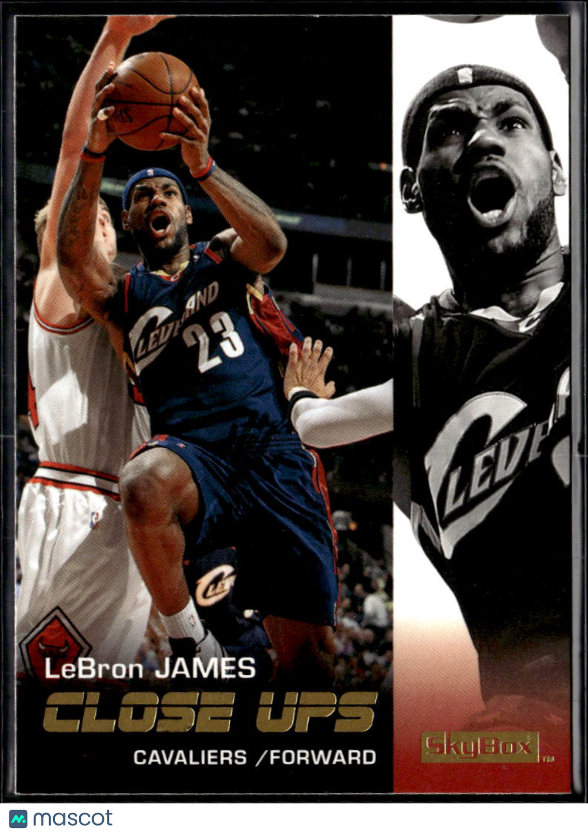 LeBron James 2008-09 SkyBox Close Ups #177 Cleveland Cavaliers
