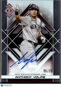 Anthony Volpe 2025 Topps Transcendent Auto Autograph 5/25 New York Yankees