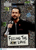 CM Punk 2022 SkyBox Metal Universe AEW Feeling The Love