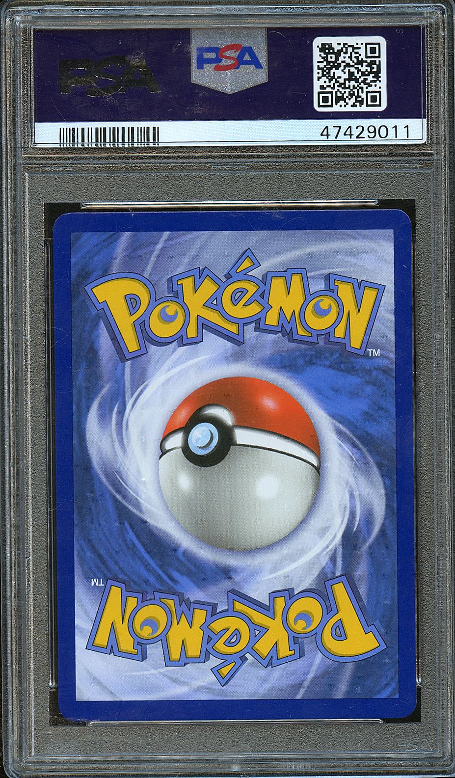 Brooklet Hill 2019 Pokemon Sun & Moon Hidden Fates Fa Hidden Fates PSA 10 #SV88