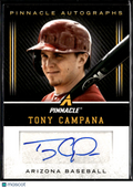 Tony Campana 2013 Panini Pinnacle Auto Autograph Arizona Diamondbacks