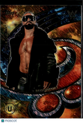 Seth Rollins 2026 Topps WWE Universe