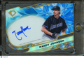 Randy Johnson 2025 Diamond Icons Auto Autograph Arizona Diamondbacks 11/15
