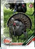 Turkey 2019 Bowman Topps Holiday SSP SHORTPRINT Thanksgiving #THT