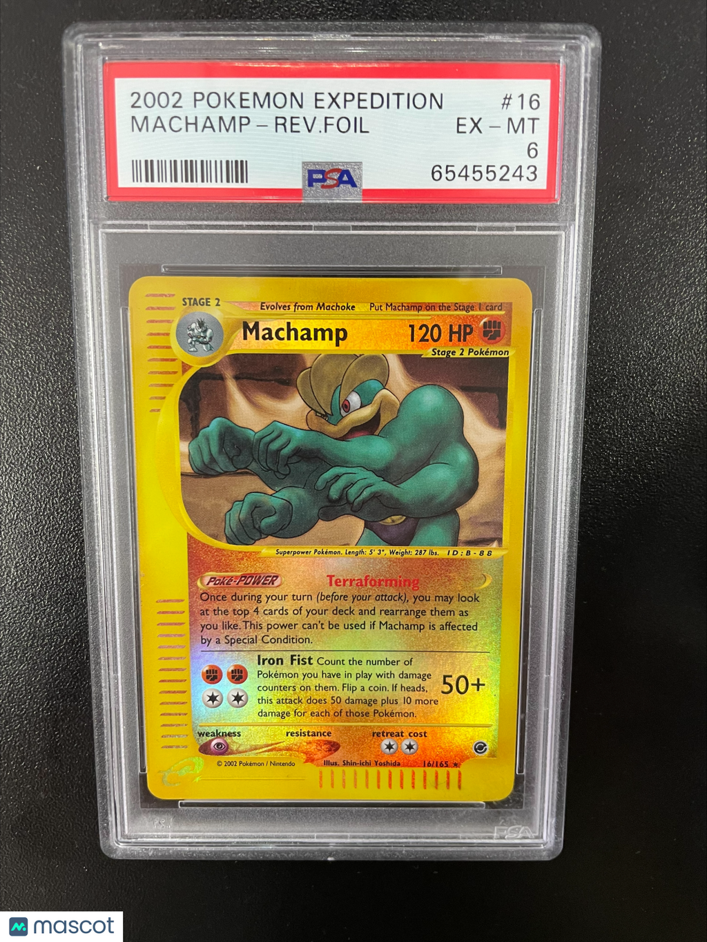 Machamp-Rev. Foil 2002 Pokemon Expedition PSA 6 #16