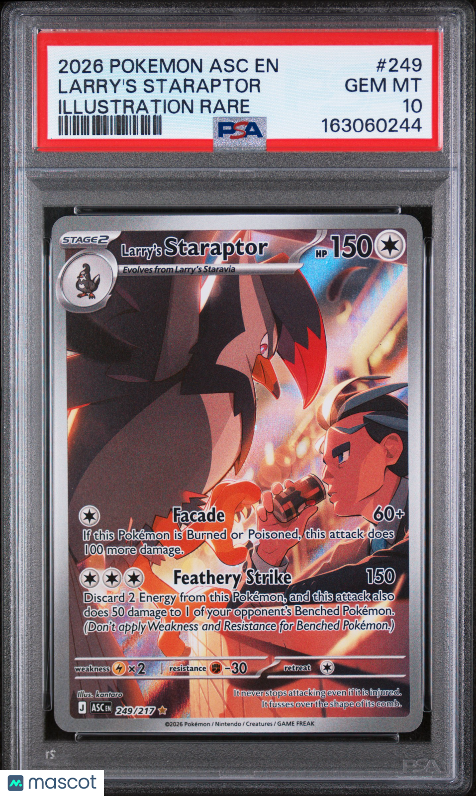 Larry's Staraptor 2026 Pokemon Ascended Heroes Illustration Rare PSA 10 #249