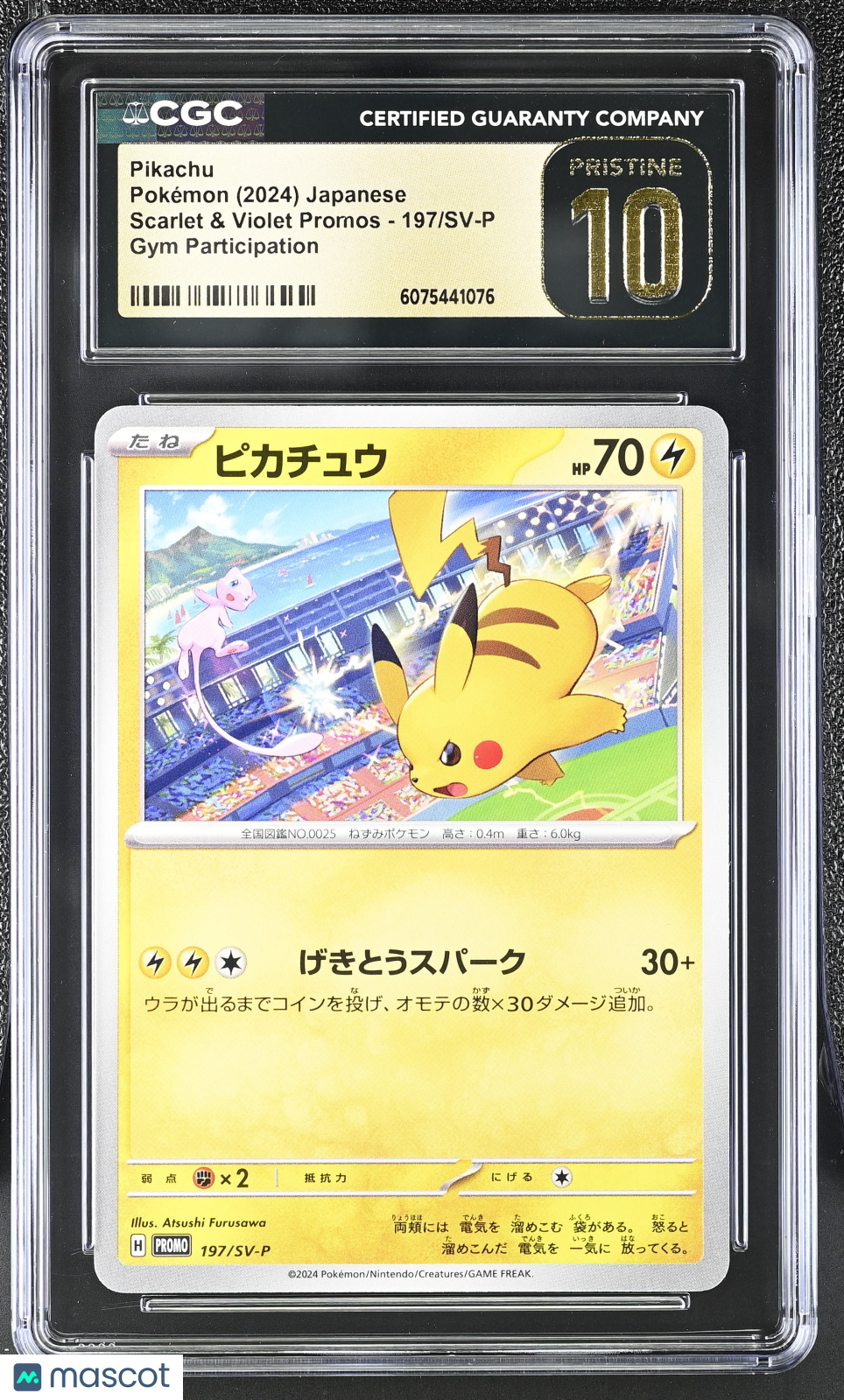 Pikachu 2024 Pokemon S&V Promos Gym Participation Japanese CGC 10 #197/SV-P