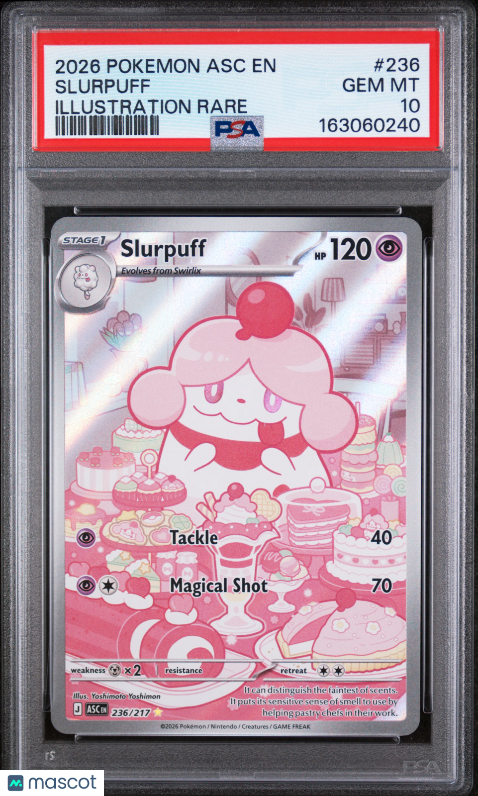 Slurpuff 2026 Pokemon Asc EN-Ascended Heroes Illustration Rare PSA 10 #236